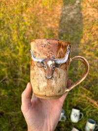 Image 4 of Red Longhorn 