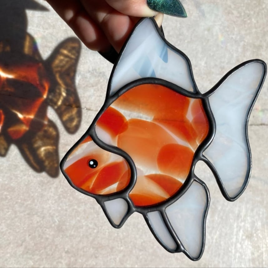 Image of RED AND WHITE Ryukin Goldfish