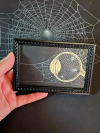 Image 2 of ANTIQUE ANATOMICAL COLLECTION - Preserved web  D