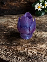 Image 1 of Gem Petal