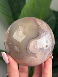 Image 7 of FLOWER AGATE SPHERE -MADAGASCAR- A