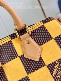 Image 5 of LV Leather Damier Bag