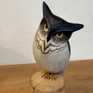 Image of Little horned owl