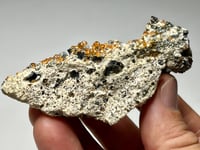 Image 8 of Hessonite Garnets On Matrix Specimen #2450