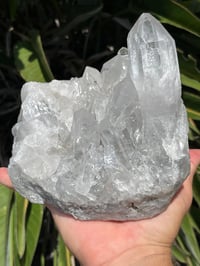 Image 8 of Clear Quartz Points Cluster Statement Piece #2446