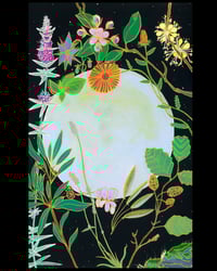 Moon Plants & Planets