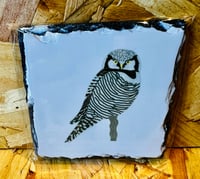 Image 4 of UK Birding Slates - Square Coasters (9cm) - Various Designs Available 