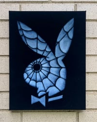 PLAYBOY BUNNY SPIDERWEB