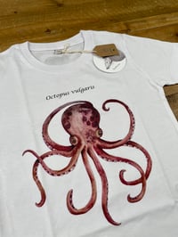 Image 3 of T-shirt Bimbi PIOVRA 