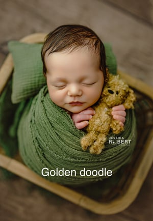 Image of  Puppy Lovey preorder 