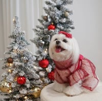 Image 1 of  CRYSTAL DRESS