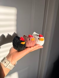 Image 1 of Mini Chickens 