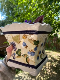 Image 2 of African Violet in Square Grape Pot