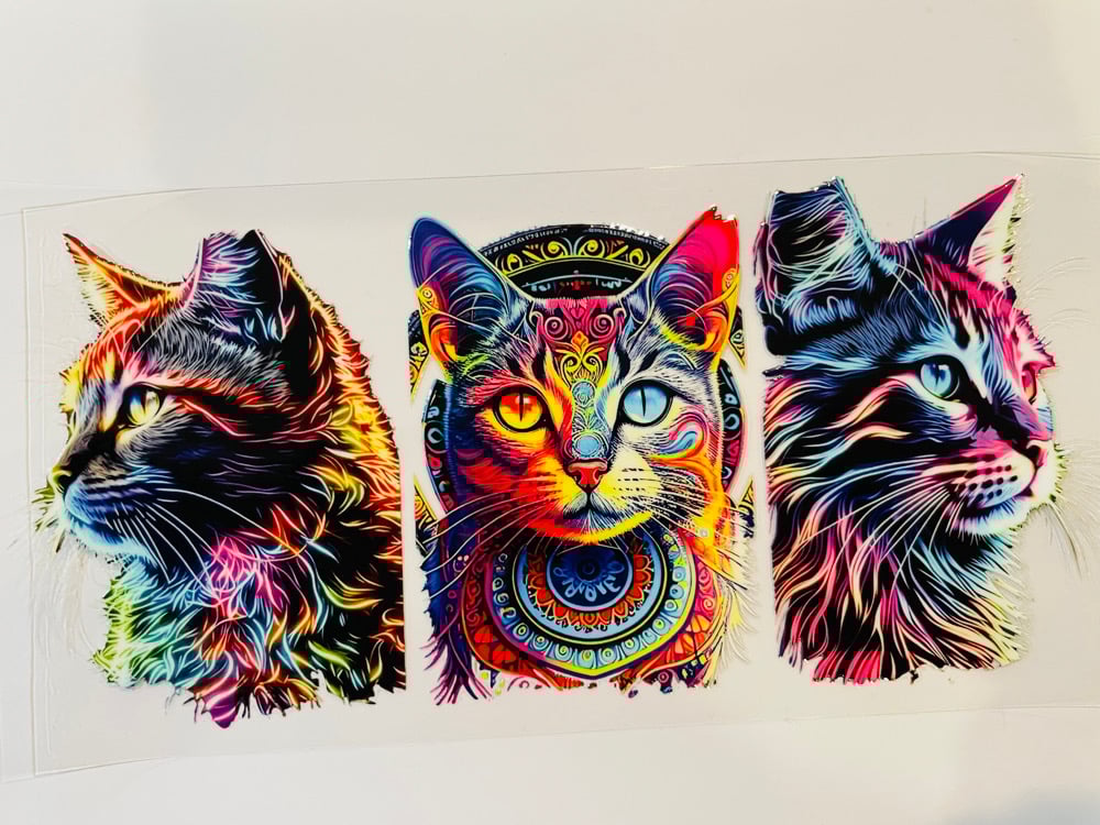 Image of Colorful Cats