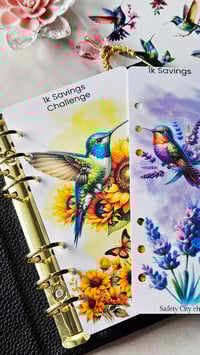 Image 1 of Hummingbirds Savings Challenge A6