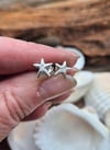 Seaside Necklace, Bracelet or Earrings 