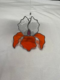 Image 1 of Orange and Clear Iris 