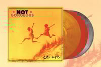 Image 3 of Not Gorgeous - We Are... LP