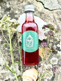 Image 1 of SIDRA DE FUEGO  DE BAYAS DE SAÚCO