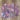 Fairy Stickers