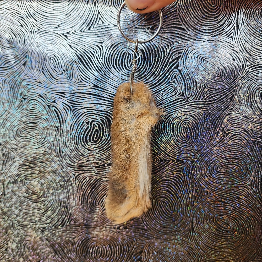 Image of rabbit's foot keychain