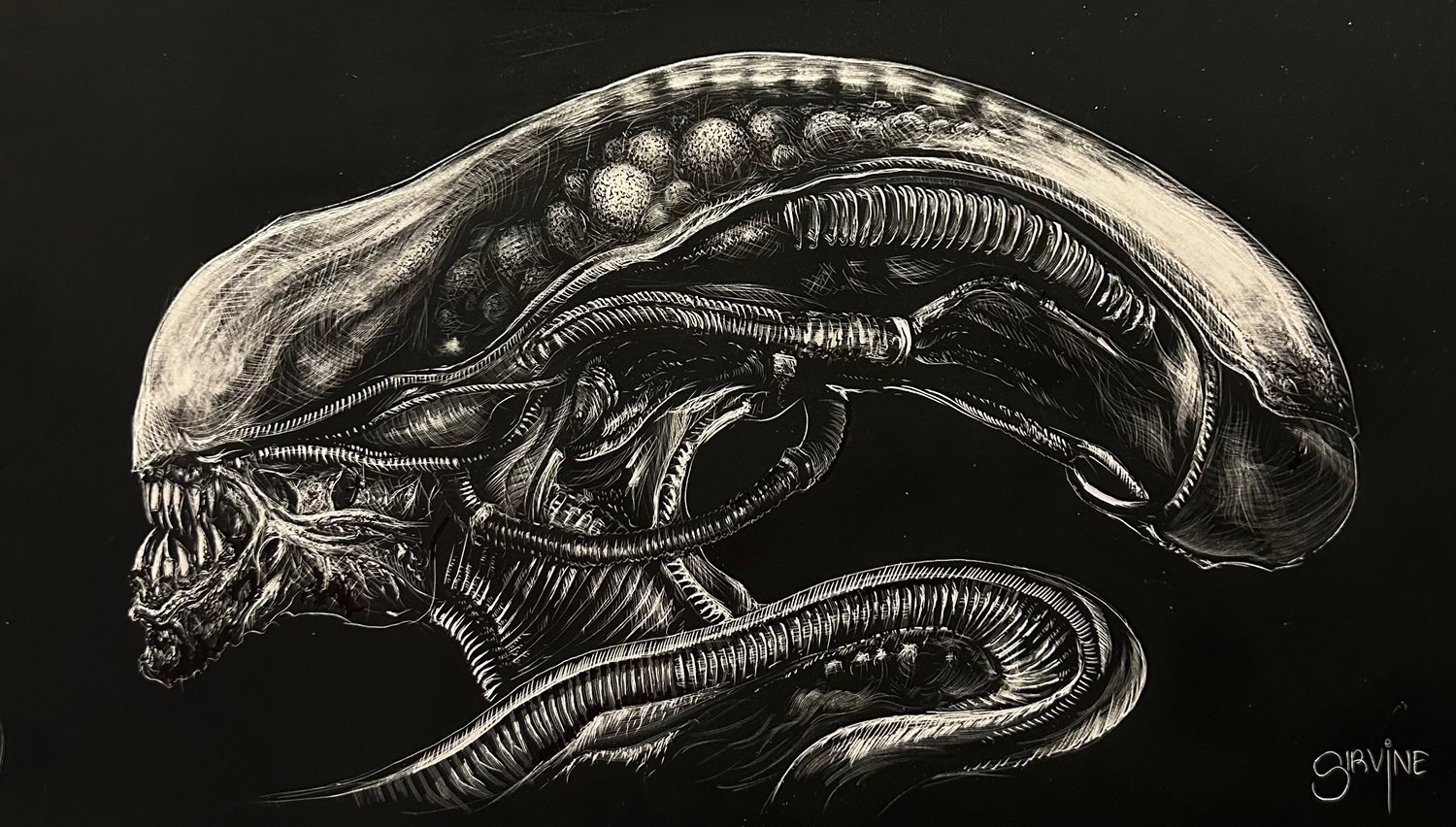 Image of XENOMORPH 1