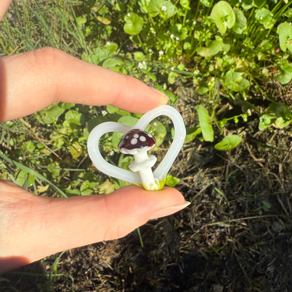Image of Heart Frame Mushrooms