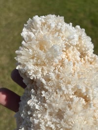 Image 9 of Aragonite On White Calcite Specimen #1243