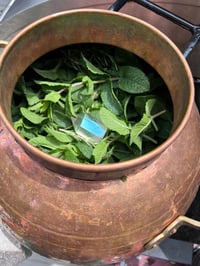 Image 4 of Rosemary-Mint  Hydrosol