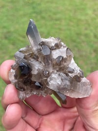 Image 2 of Smoky Quartz Crystal Points Cluster #1628