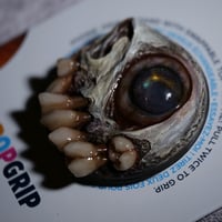 Image 11 of Undead Gaze Popsocket, phone grip