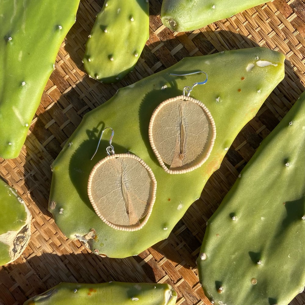 Image of Bougainvillea Petal Earrings - White