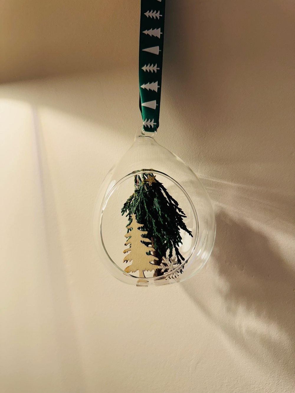 Open Glass Dried Flower Bauble 