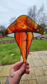 Image 3 of Mushroom bum 2