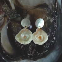 Image 1 of Mother of Pearl