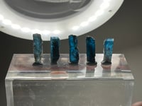 Image 2 of Ocean Kyanite Blades | Harts Range NT Australia #2964