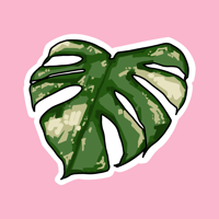 thai constellation monstera sticker