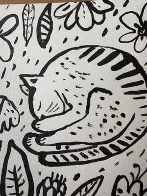 Image of Sovende katt