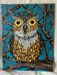 Image 1 of Night Owl