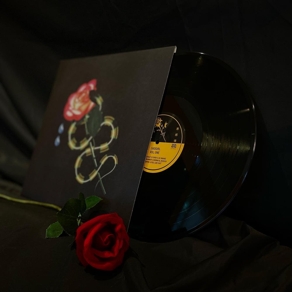 Image of “LIMITED EDITION” Vinyl Compilation 