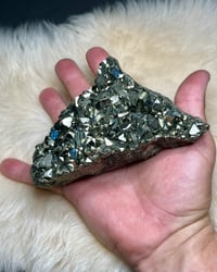 Image 19 of Peruvian Octahedral Pyrite Specimen #2155