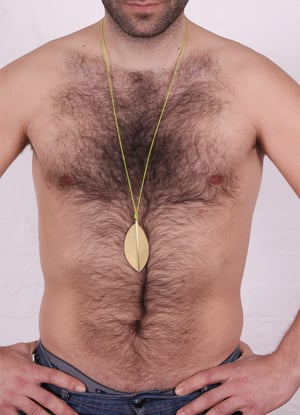 Image of erythroxylum coca_grüngold