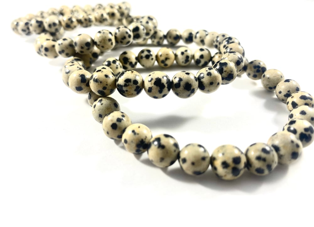 Image of Dalmatian Jasper