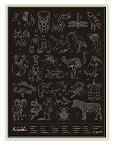 Image of Animals - Black