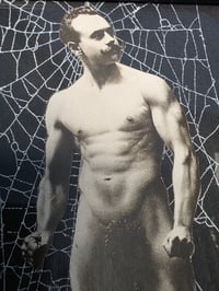 Image 2 of VINTAGE COLLECTION - with real preserved spider web