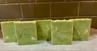 Image 3 of Irish clover and Aloe
