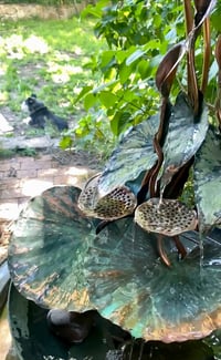 Image 3 of 🌿🍃Arum & Lotus 🌿🍃