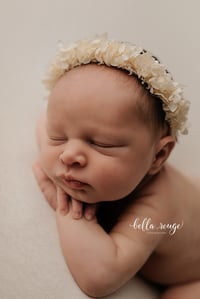 Image 5 of Ivory Hydrangea Halo