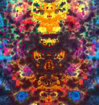 Image 5 of Large Rainbow 3