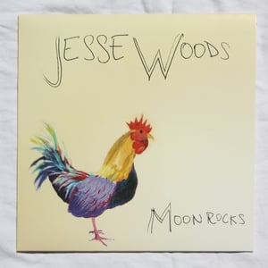 Image of Jesse Woods - Moon Rocks - 10" Vinyl